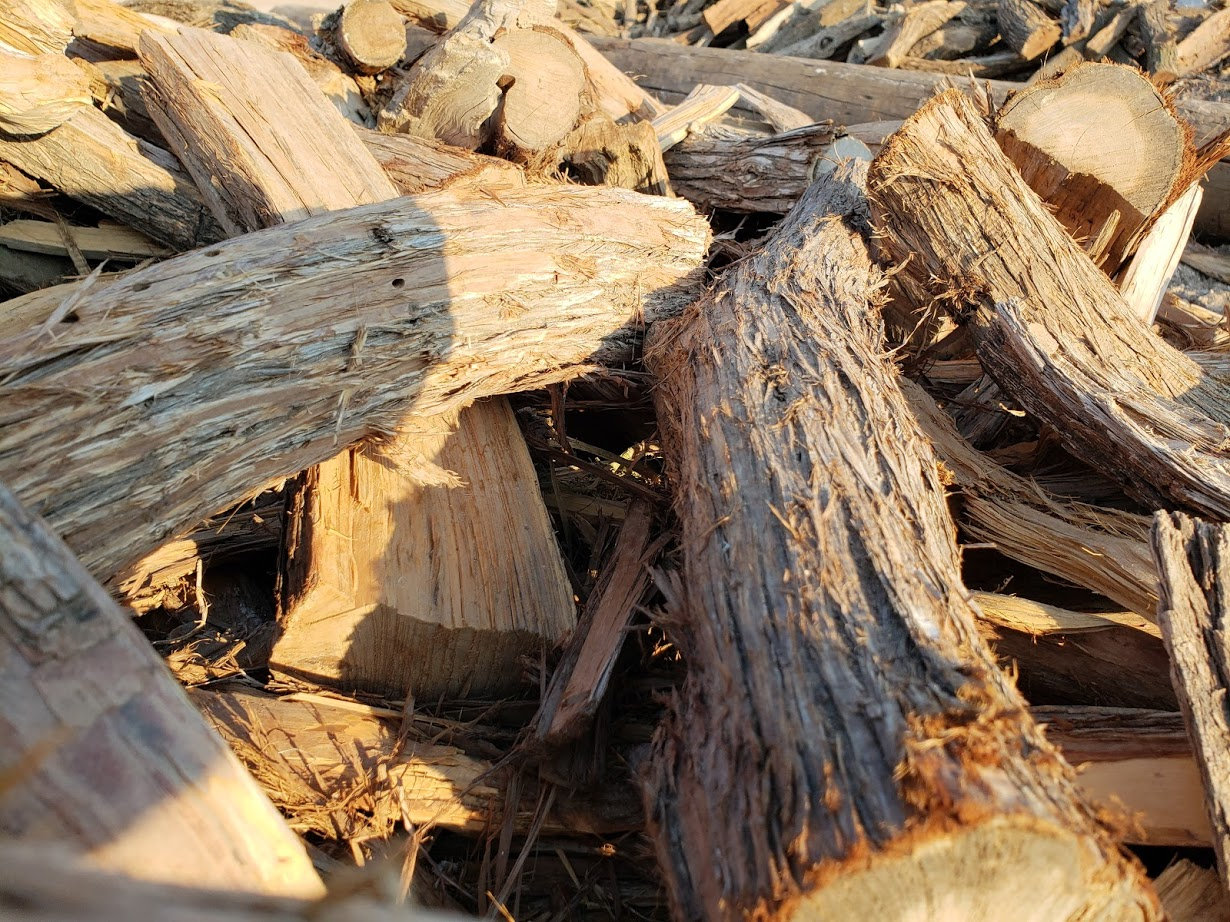 Is Cedar Good for Firewood/Burning