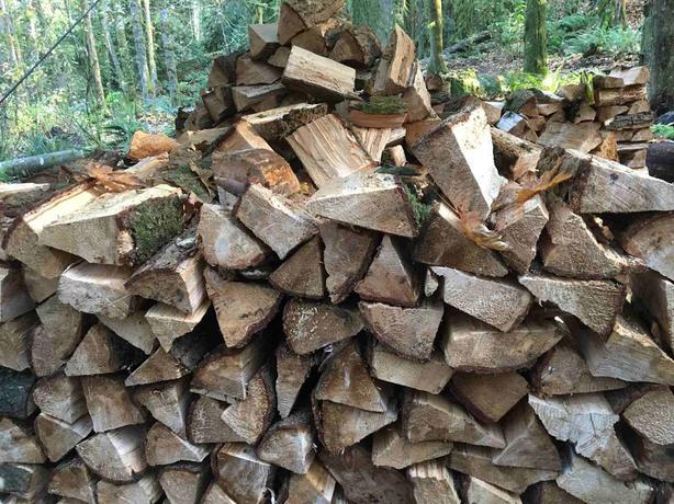 Does Hemlock Make Good Firewood?
