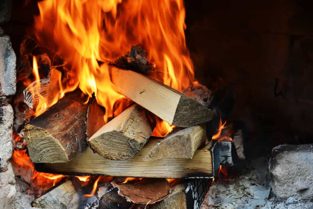 Is Magnolia Good for Firewood – Burning Magnolia Wood