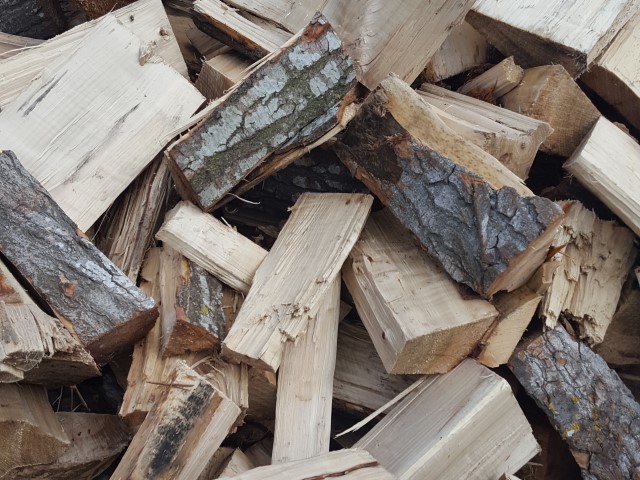 Is Poplar Good for Firewood/Burning