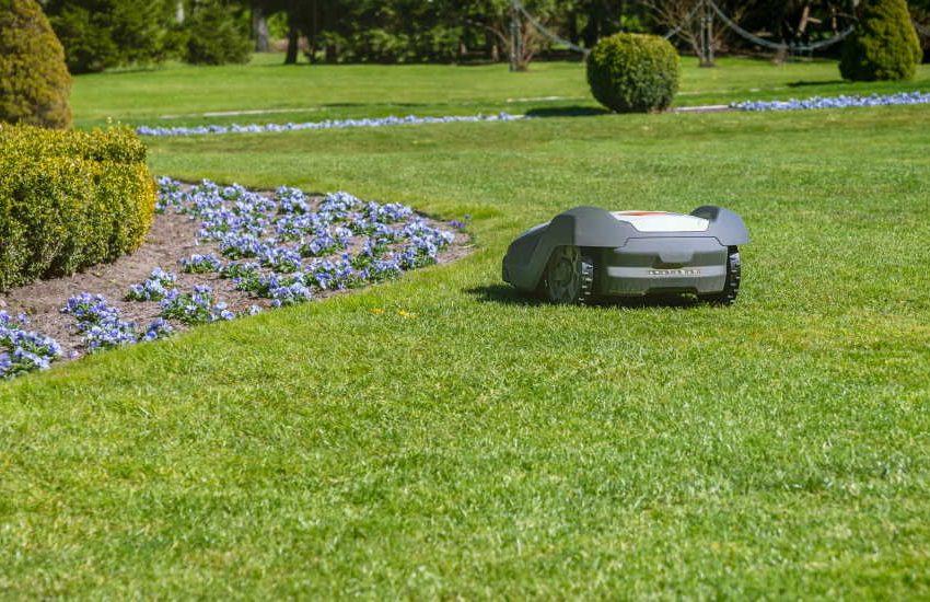 car gas for lawn mower, robotic