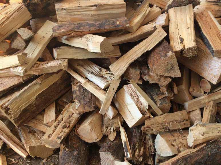 Is Spruce Good for Firewood – Burning Questions About Spruce
