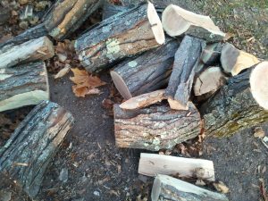 Walnut Firewood