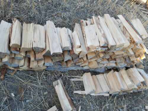 Do Willow Trees Produce Good Firewood?