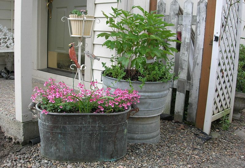 container gardening