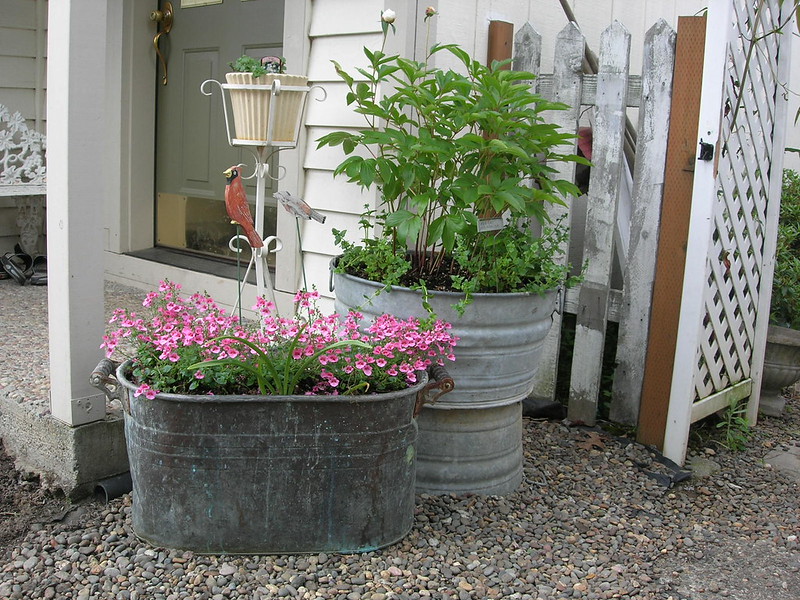 container gardening