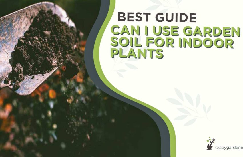can-i-use-garden-soil-for-indoor-plants.jpg