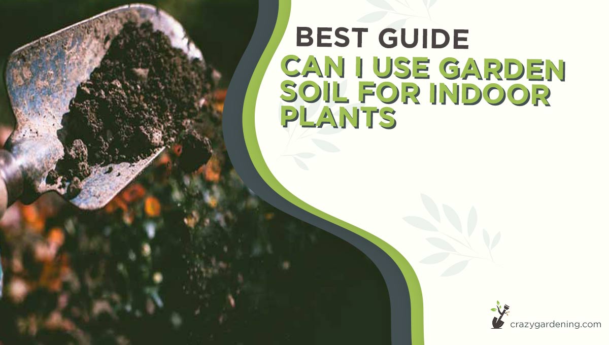 Can I Use Outdoor Soil For Indoor Plants [Healthy Tips 2025]