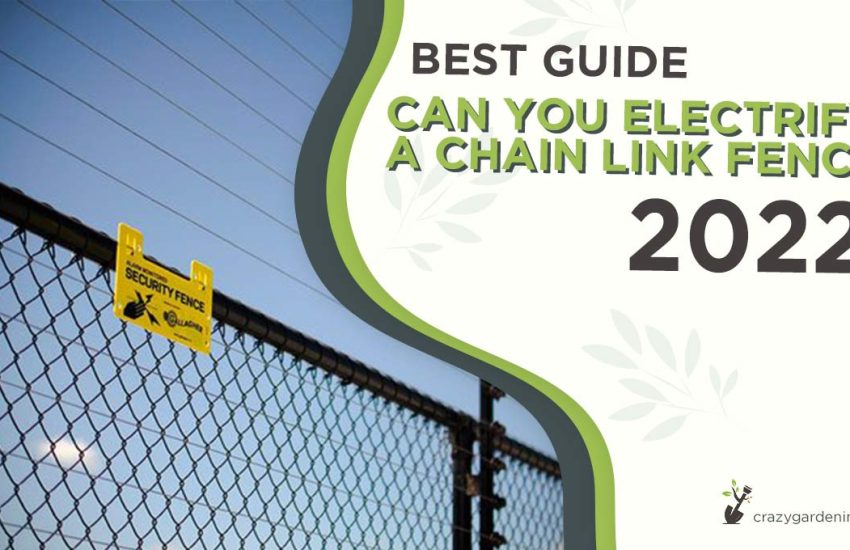 can-you-electrify-a-chain-link-fence.jpg