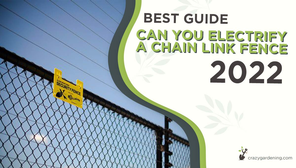 Can You Electrify a Chain Link Fence [Incredible Tips 2024]