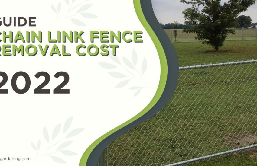 chain-link-fence-removal-cost.jpg