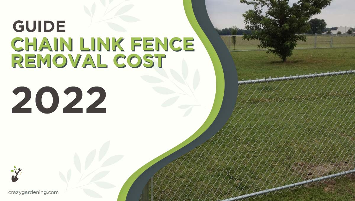 Chain Link Fence Removal Cost [Is it Worth it in 2024]