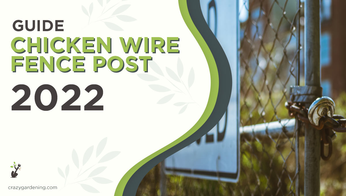 Low Cost Chicken Wire Fence Posts [Don’t Break Bank 2025]