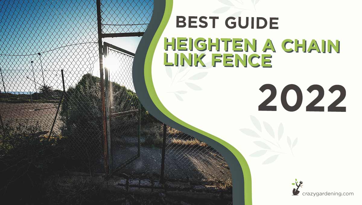 6 Easy Ways to Heighten a Chain Link Fence [Pro Tips 2024]