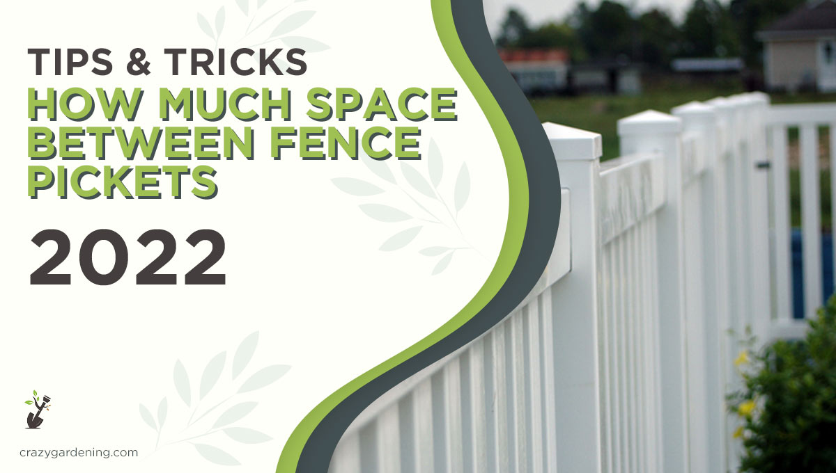 How Far Apart Should You Set Pickets on a Fence [Guide 2024]
