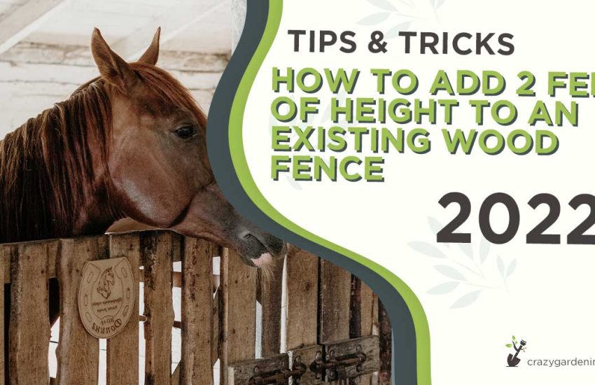 how-to-add-2-feet-of-height-to-an-existing-wood-fence.jpg
