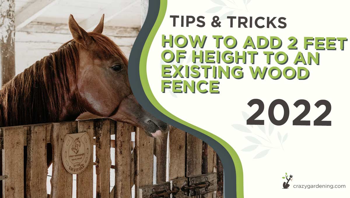 How To Add 2 Feet Of Height To An Existing Wood Fence 2024   How To Add 2 Feet Of Height To An Existing Wood Fence 1 