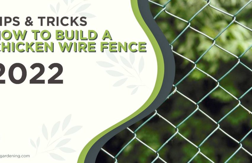 how-to-build-a-chicken-wire-fence.jpg
