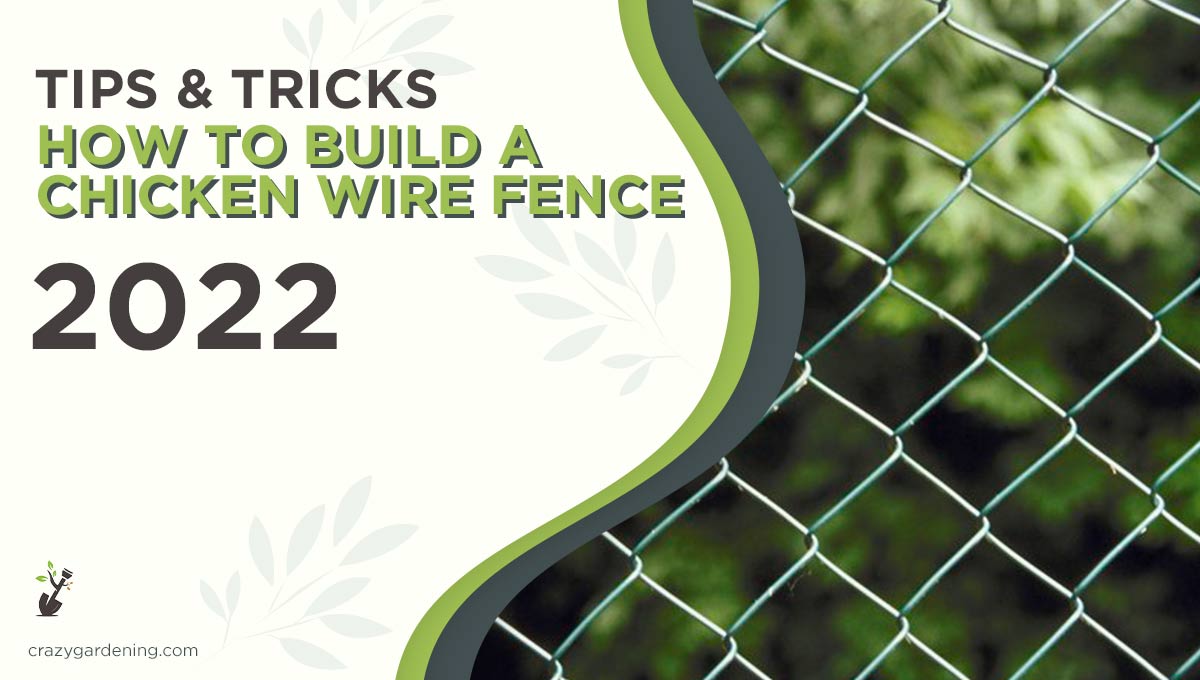How to Build a Chicken Wire Fence [Step-by-Step Guide 2025]