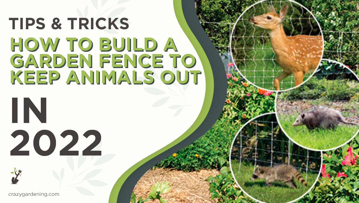 How To Build A Garden Fence To Keep Animals Out Guide 2024   How To Build A Garden Fence To Keep Animals Out 1 