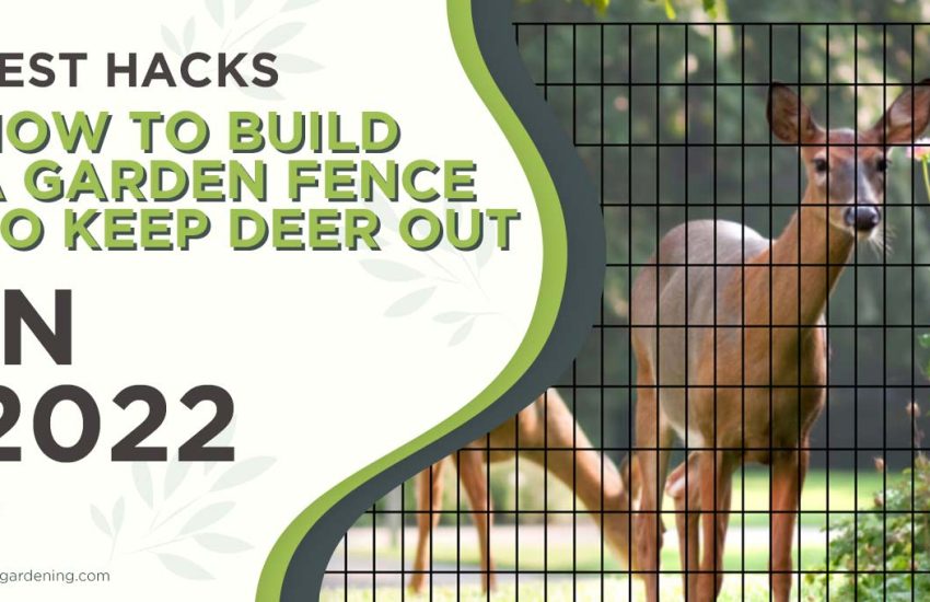 how-to-build-a-garden-fence-to-keep-deer-out.jpg