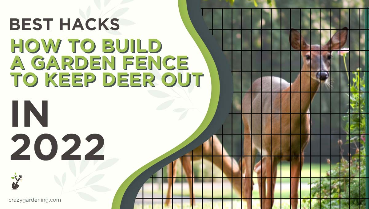 Build A Cheap And Easy Deer Proof Garden Fence Guide 2024   How To Build A Garden Fence To Keep Deer Out 1 