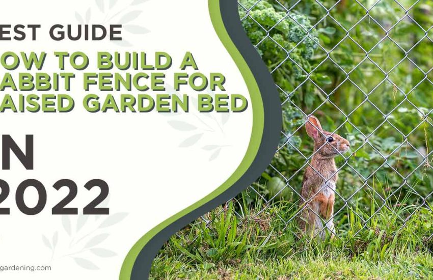 how-to-build-a-rabbit-fence-for-raised-garden-bed.jpg