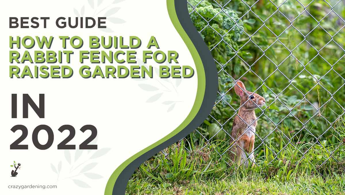 How to Build a Rabbit Fence for Raised Garden Bed[Tips 2025]