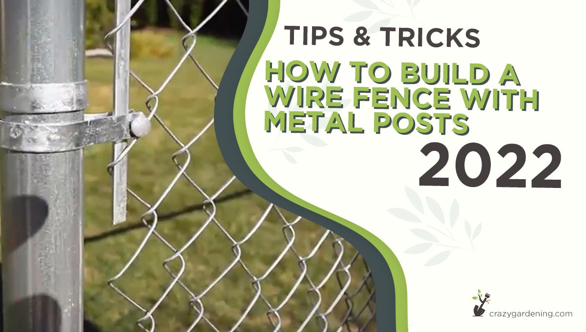 Build a Wire Fence with Metal Posts [Fencing Made Easy 2025]