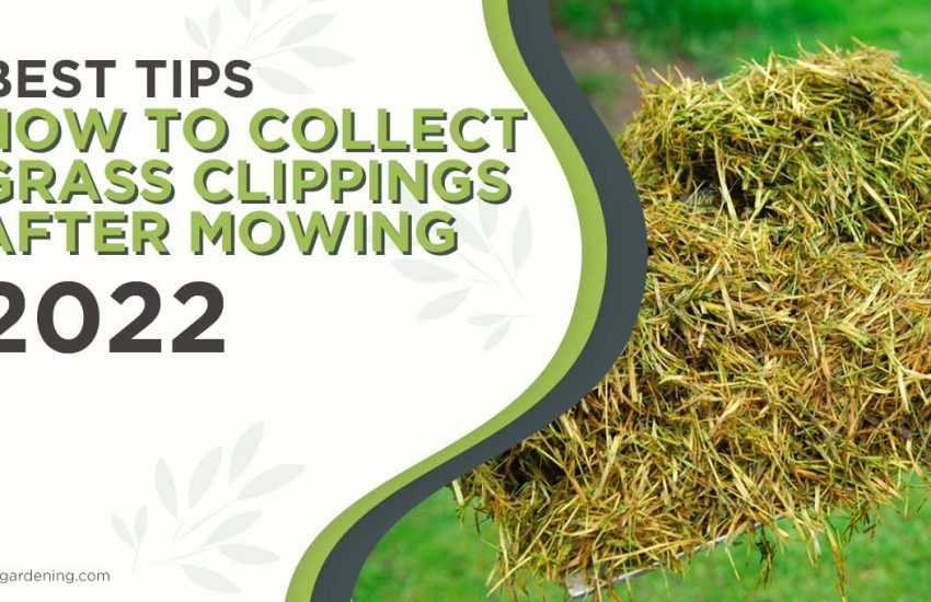 how-to-collect-grass-clippings-after-mowing.jpg