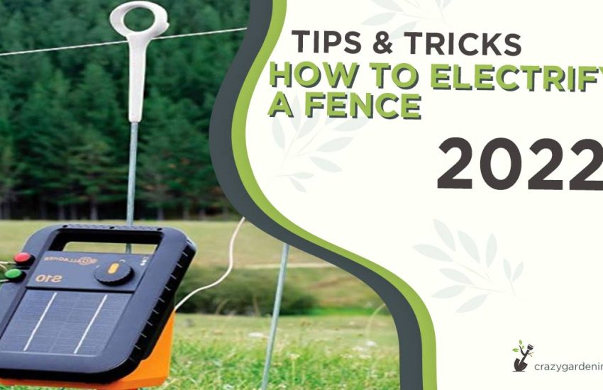 how-to-electrify-a-fence.jpg