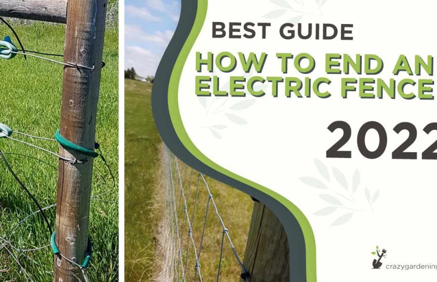 how-to-end-an-electric-fence.jpg