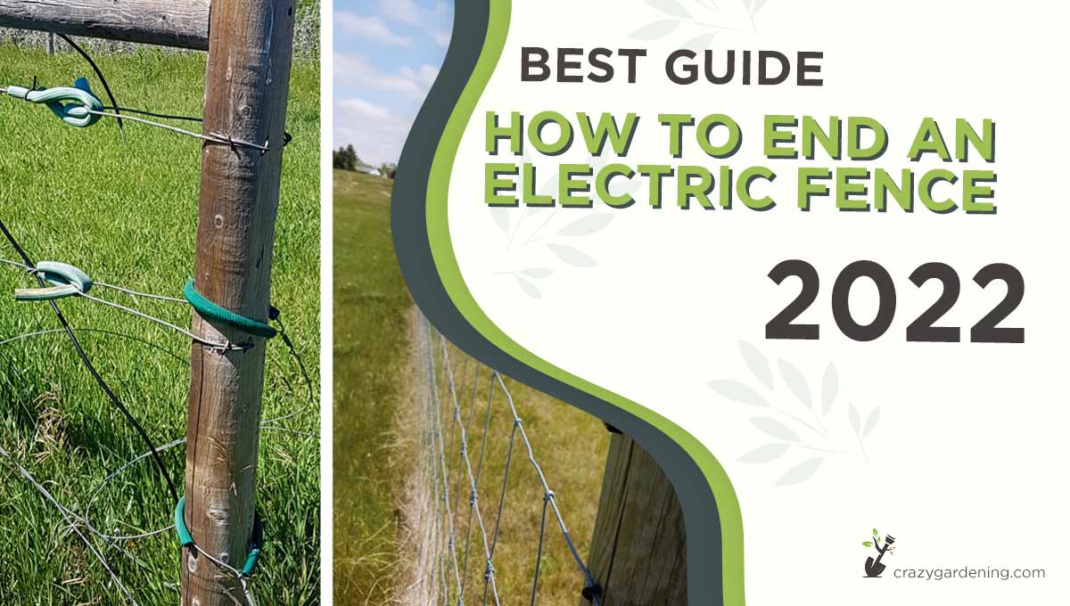 How To End An Electric Fence [Safe & Sound Tips in 2025]