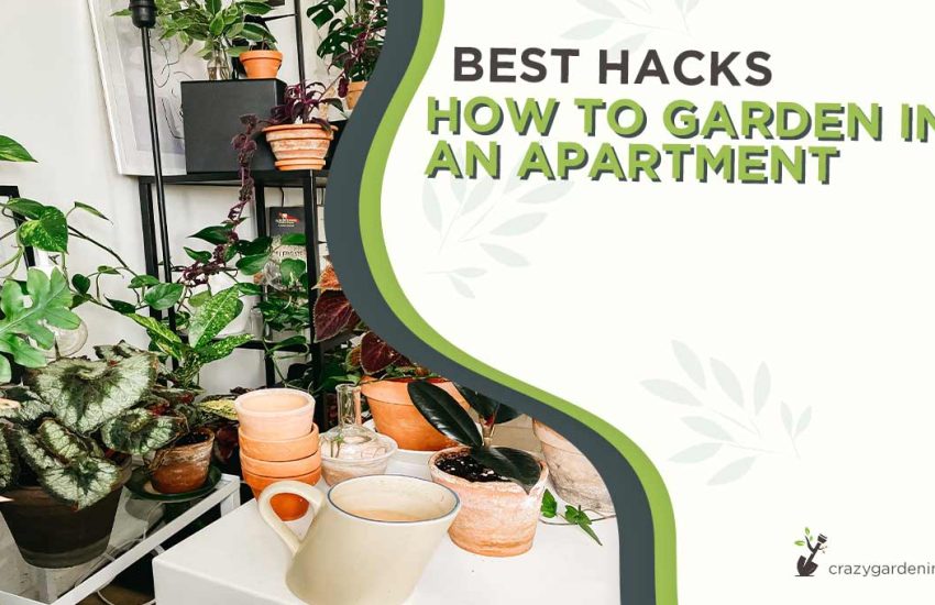 how-to-garden-in-an-apartment.jpg