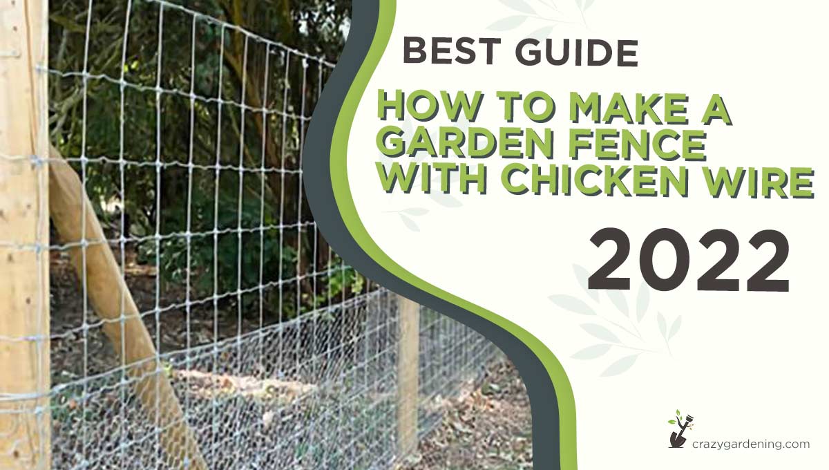 Build a Garden Fence With Chicken Wire Like a Pro[Tips 2024