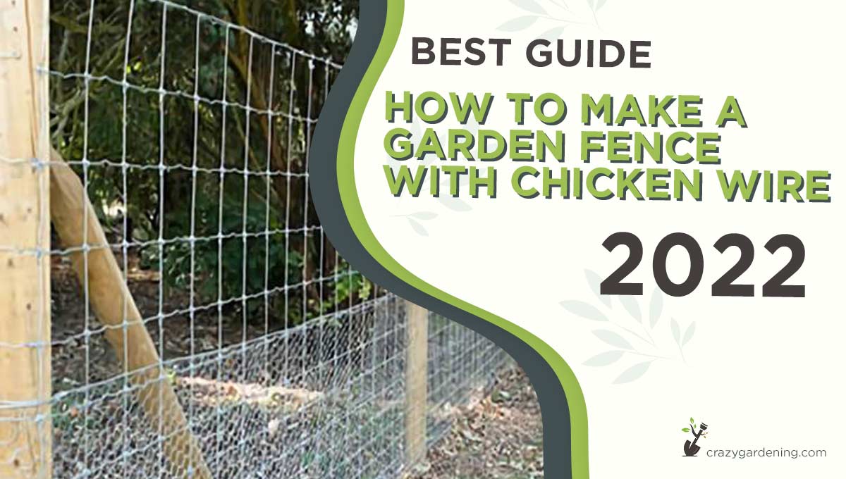 Build a Garden Fence With Chicken Wire Like a Pro[Tips 2025]