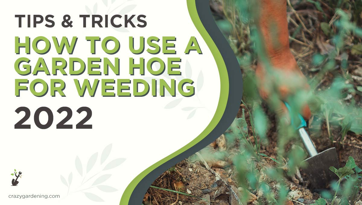 Different Types of Garden Hoes & Their Uses [Dig Deep 2024]