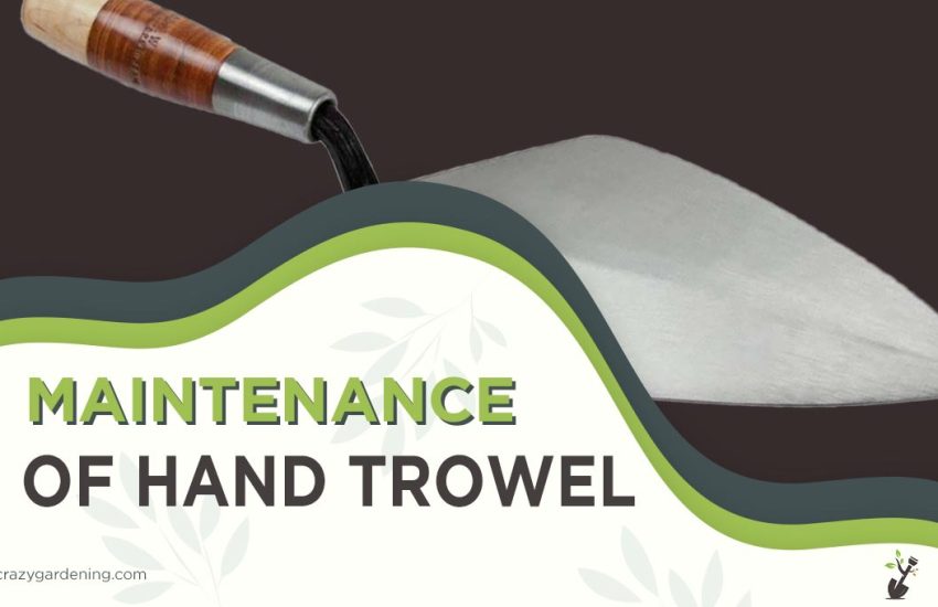 maintenance-of-hand-trowel.jpg