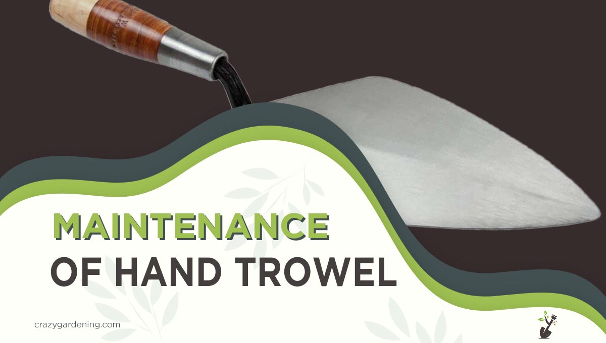 Maintenance and Care of Hand Trowel For Garden [2025 Guide]