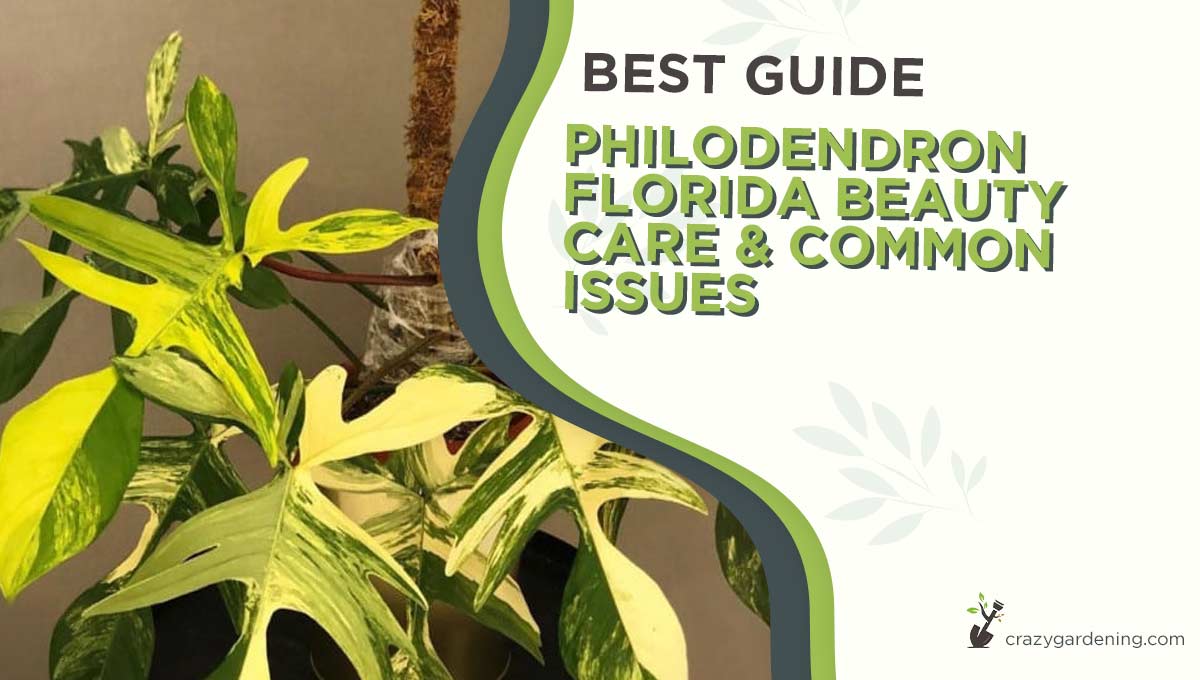 Philodendron Florida Beauty #1 Best Easy Care Hacks [2024]
