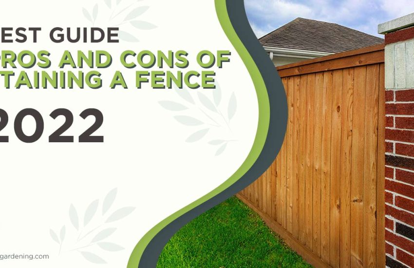 pros-and-cons-of-staining-a-fence.jpg