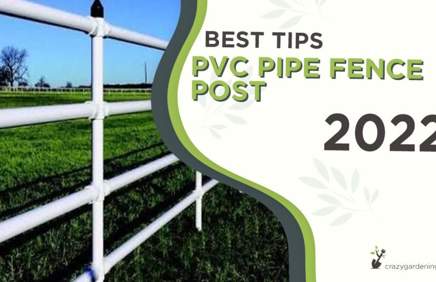 pvc-pipe-fence-post.jpg