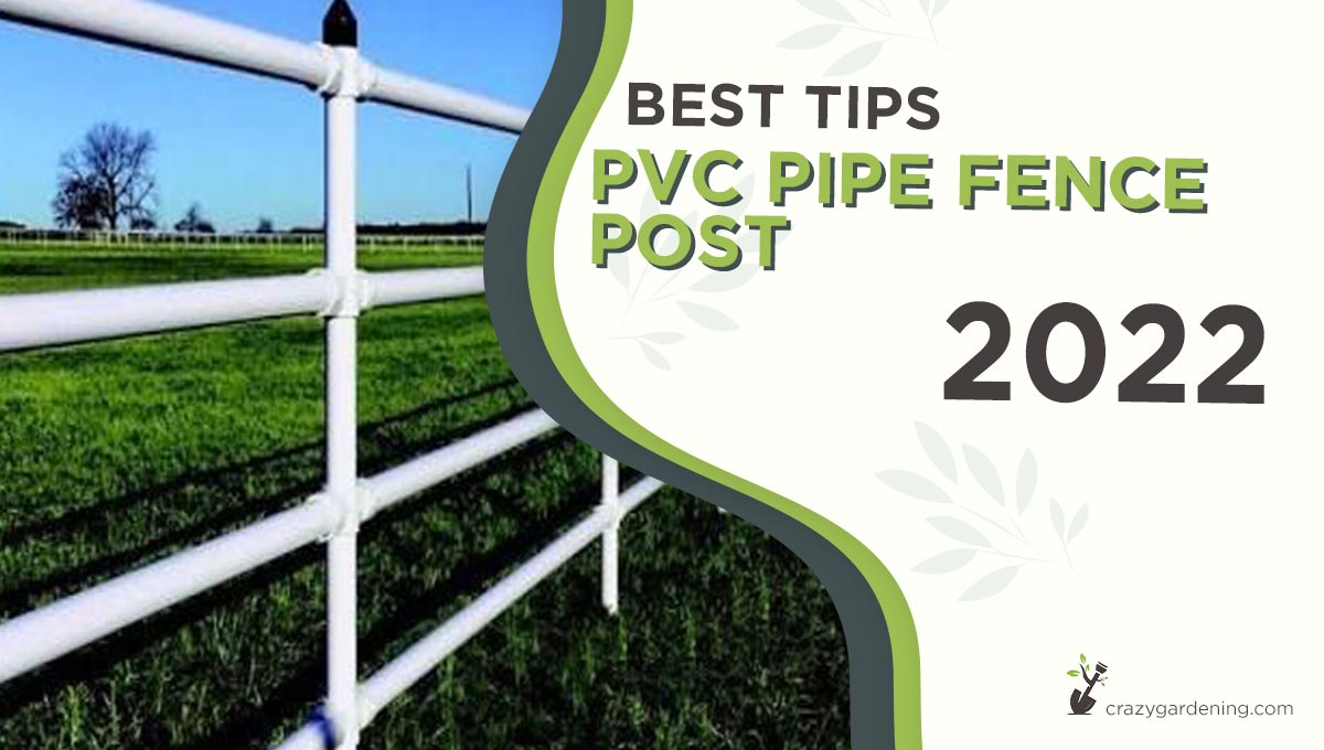 How to Build a Fence with PVC Pipe Posts? [Best Facts 2025]