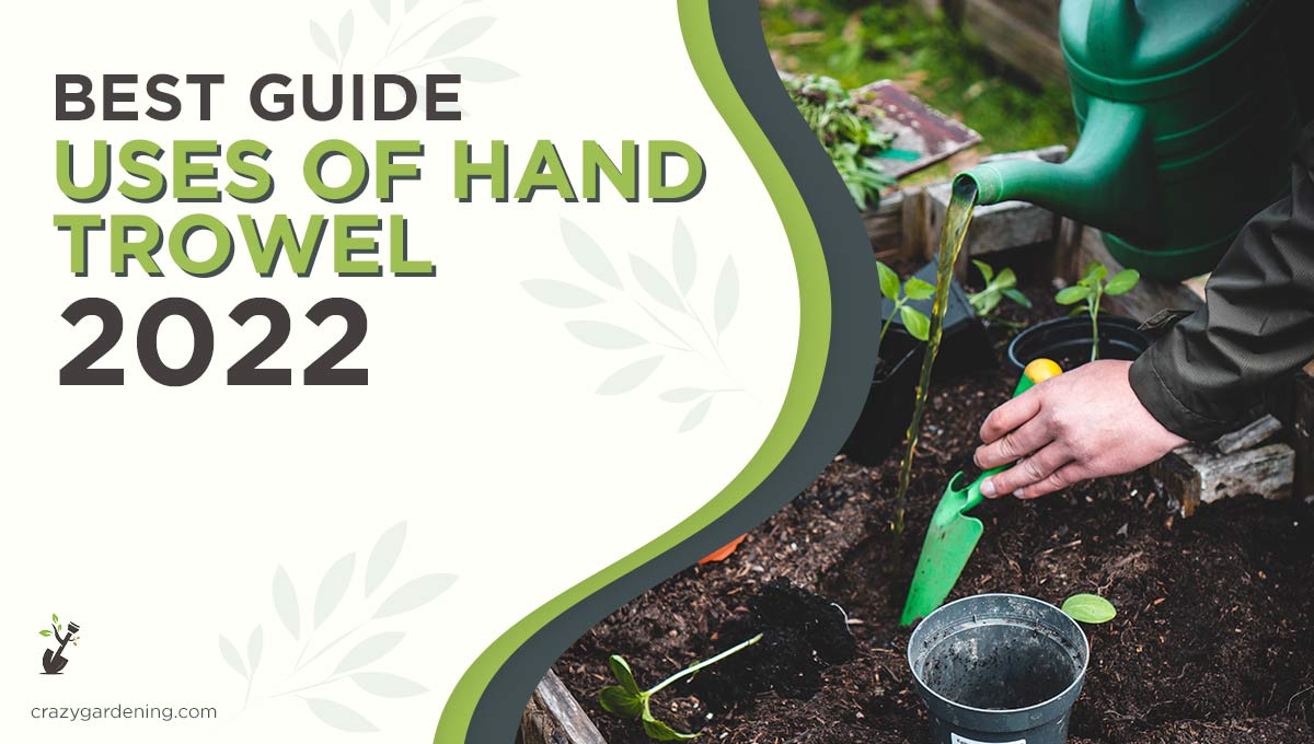Incredible Uses of Hand Trowel In Gardening [Facts 2024]