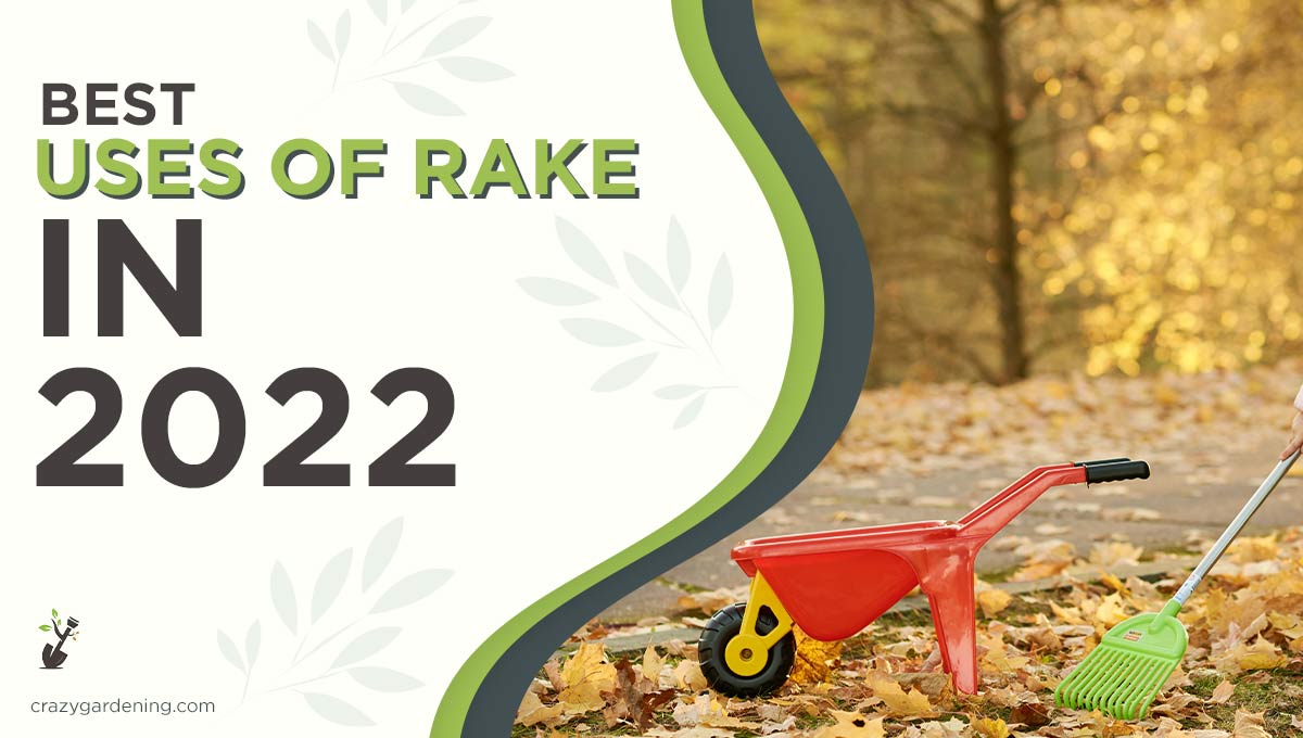 Incredible Uses of Rake & Types [Time to Rake It Up 2024]