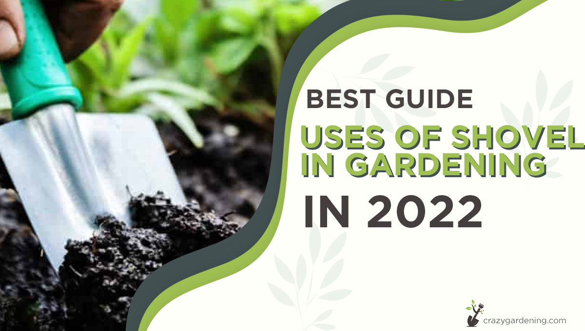 6 Different Types and Uses of Shovel in Gardening [Guide 2024]