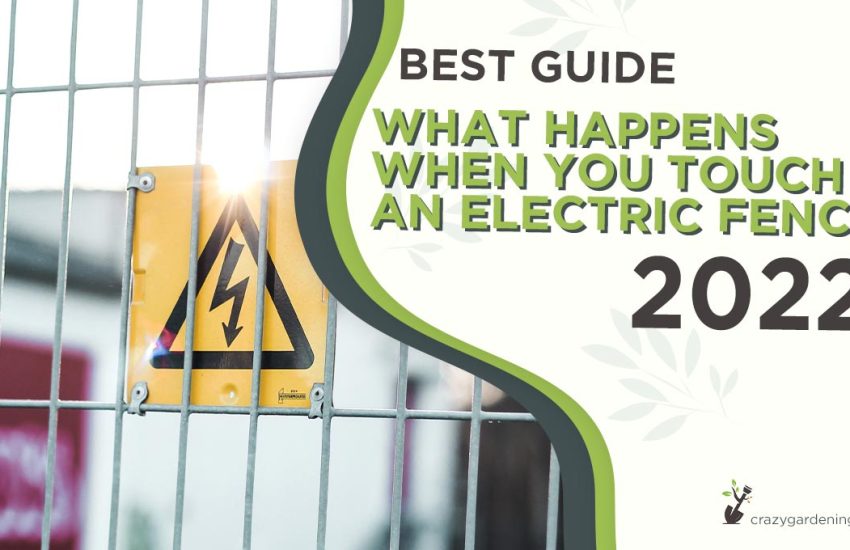 what-happens-when-you-touch-an-electric-fence.jpg