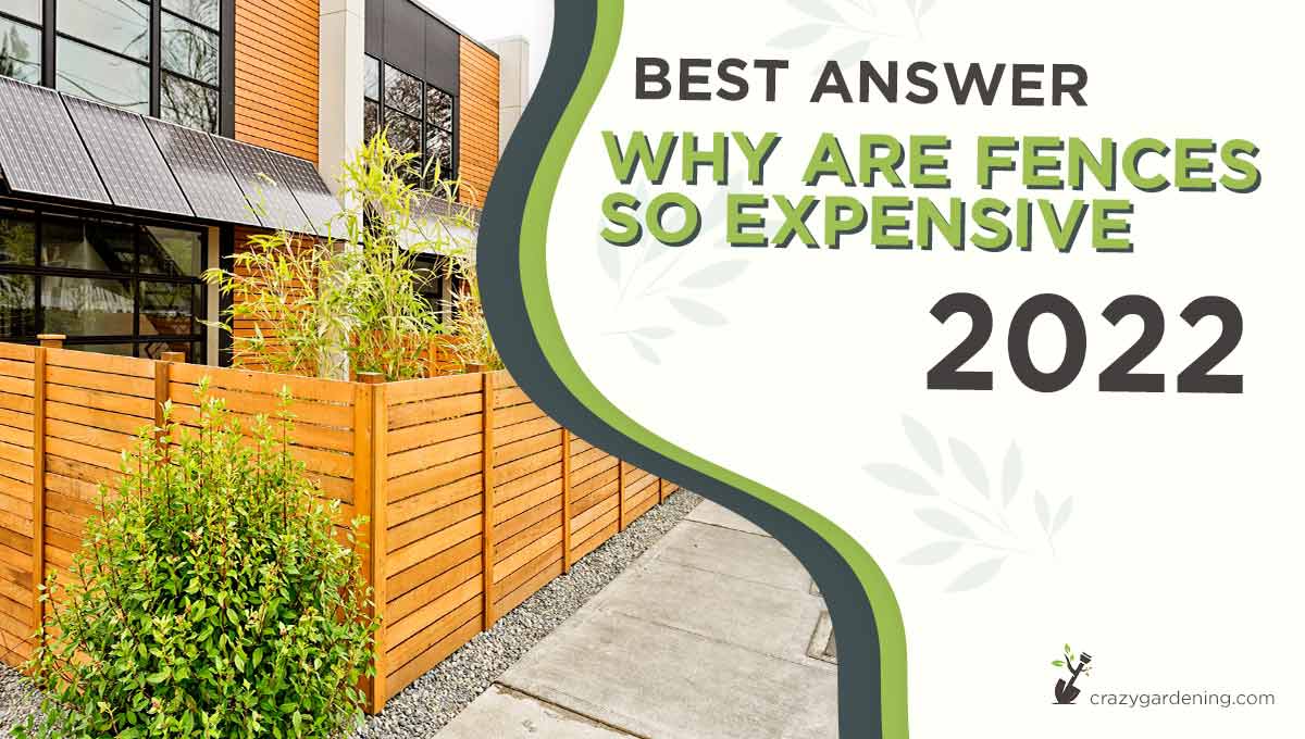 Why are Fences So Expensive [The Cost of Security 2024]