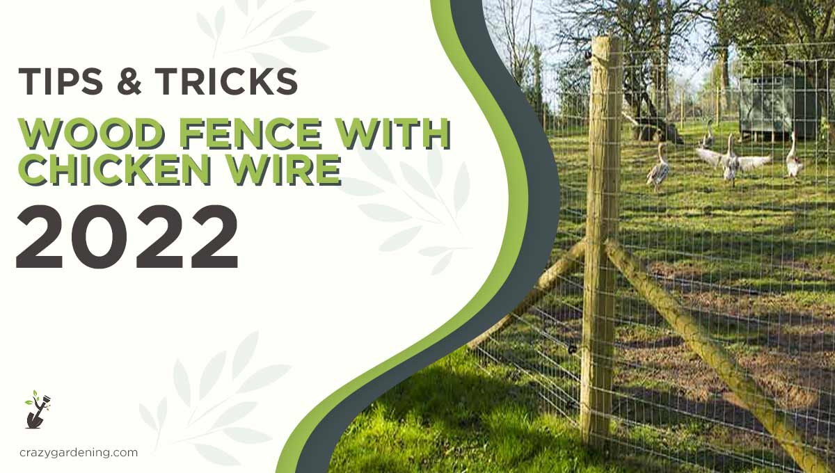 How To Attache Chicken Wire To Wood Secure Your Coop 2024   Wood Fence With Chicken Wire 1 