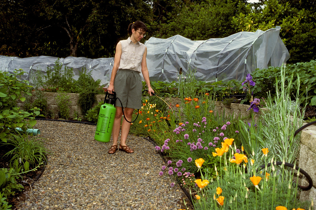 Best Organic Pesticides: Eco-Friendly Pest Management Made Easy